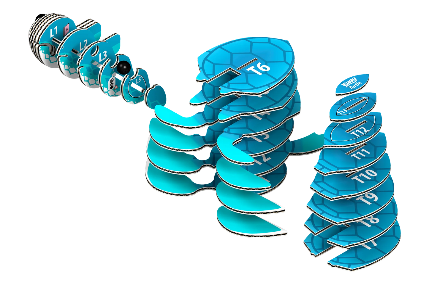 Eugy Turtle 3D Puzzle