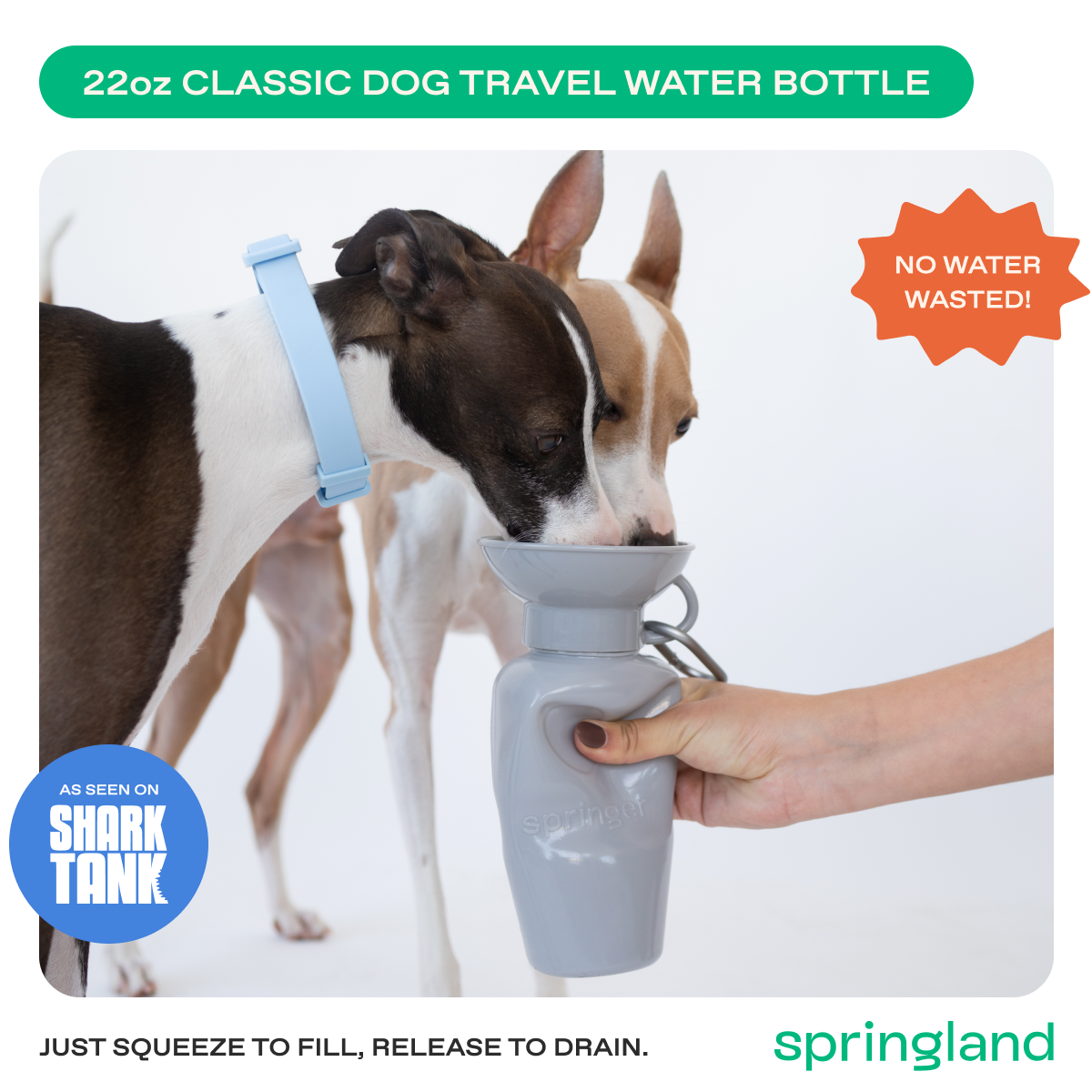 22oz Original Springer Dog Travel Water Bottle