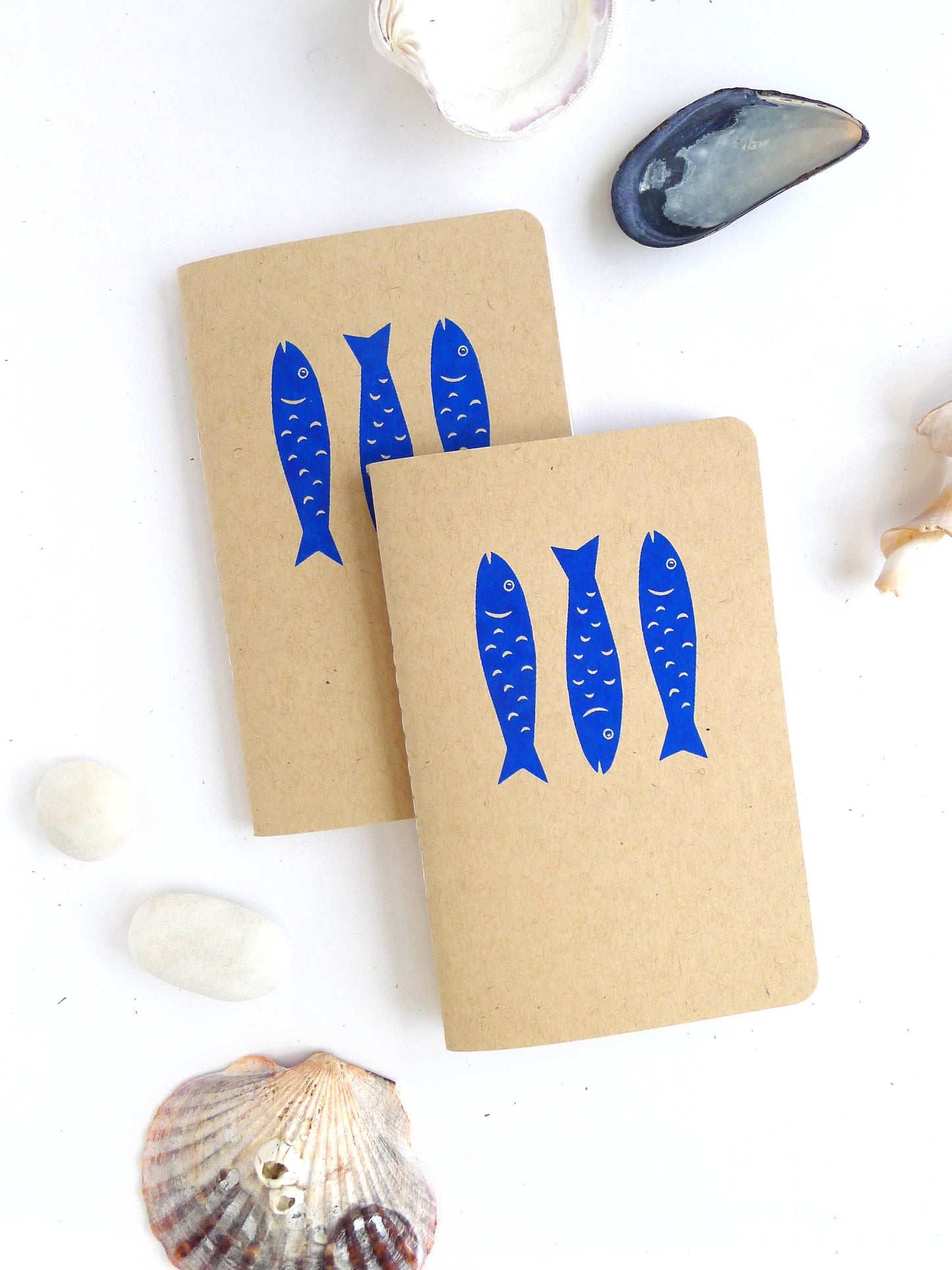 Fish Pocket Jotter: Blank