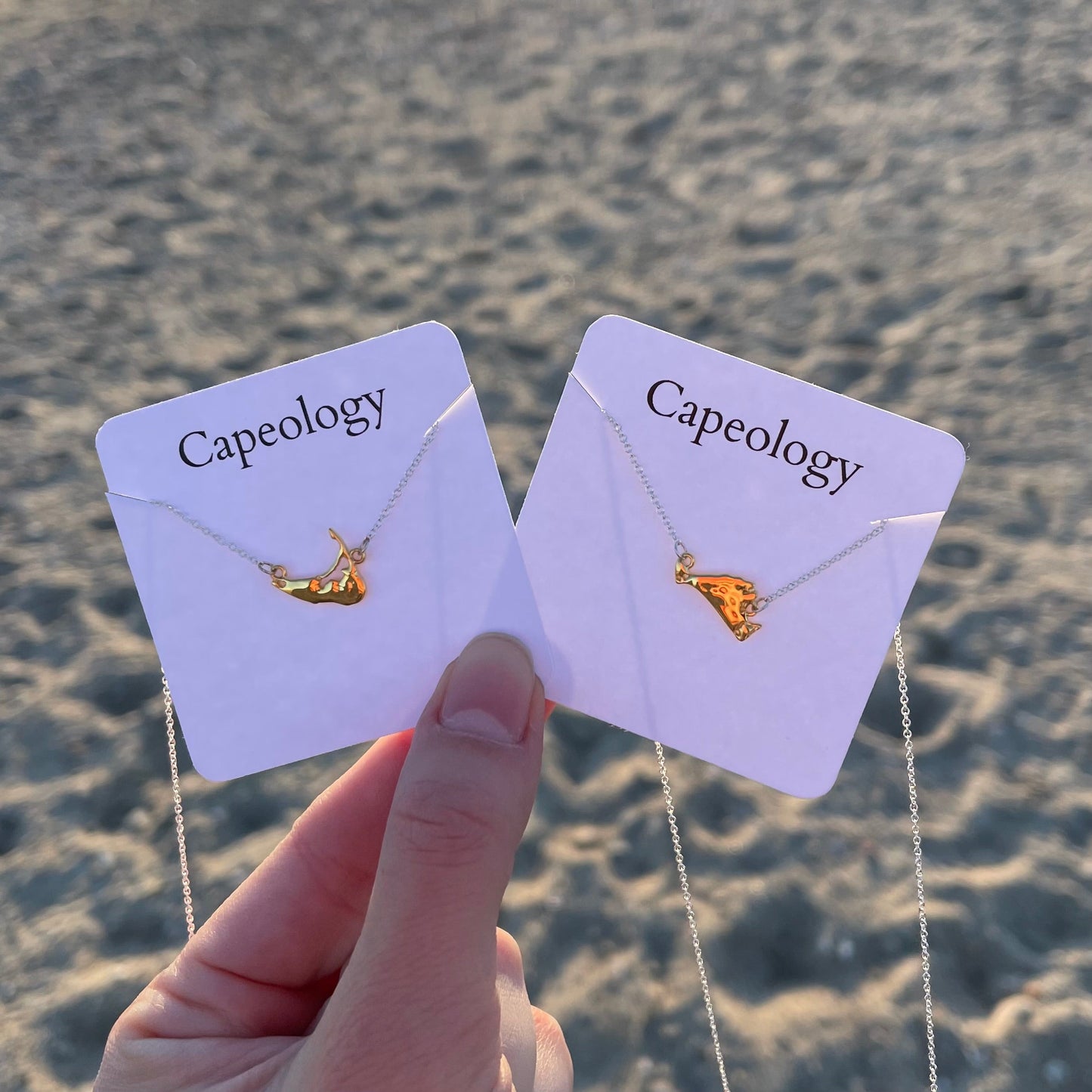 Two-Toned Nantucket Necklace