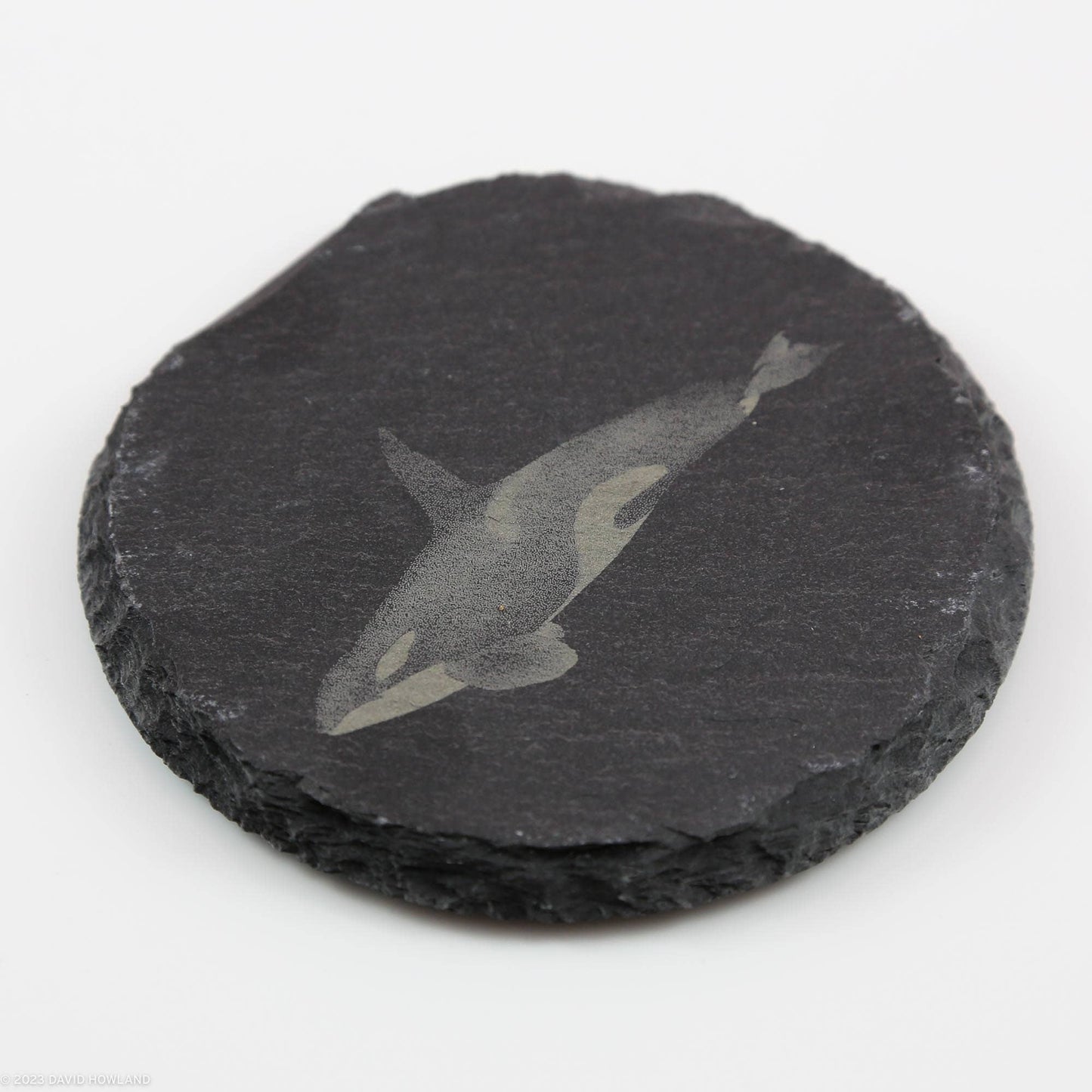 Orca Killer Whale Round Slate Coaster