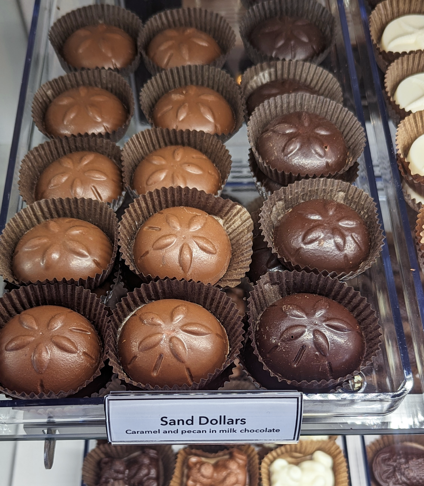 Harbor Sweets Chocolates Sand Dollars Gable Box caramel 6 pc