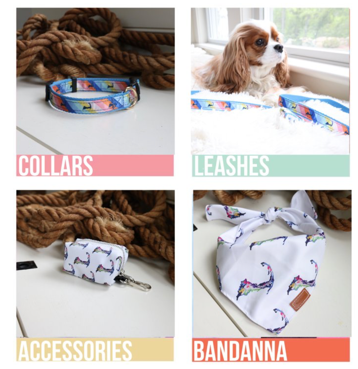 Cape Cod Dog Collar: M/L