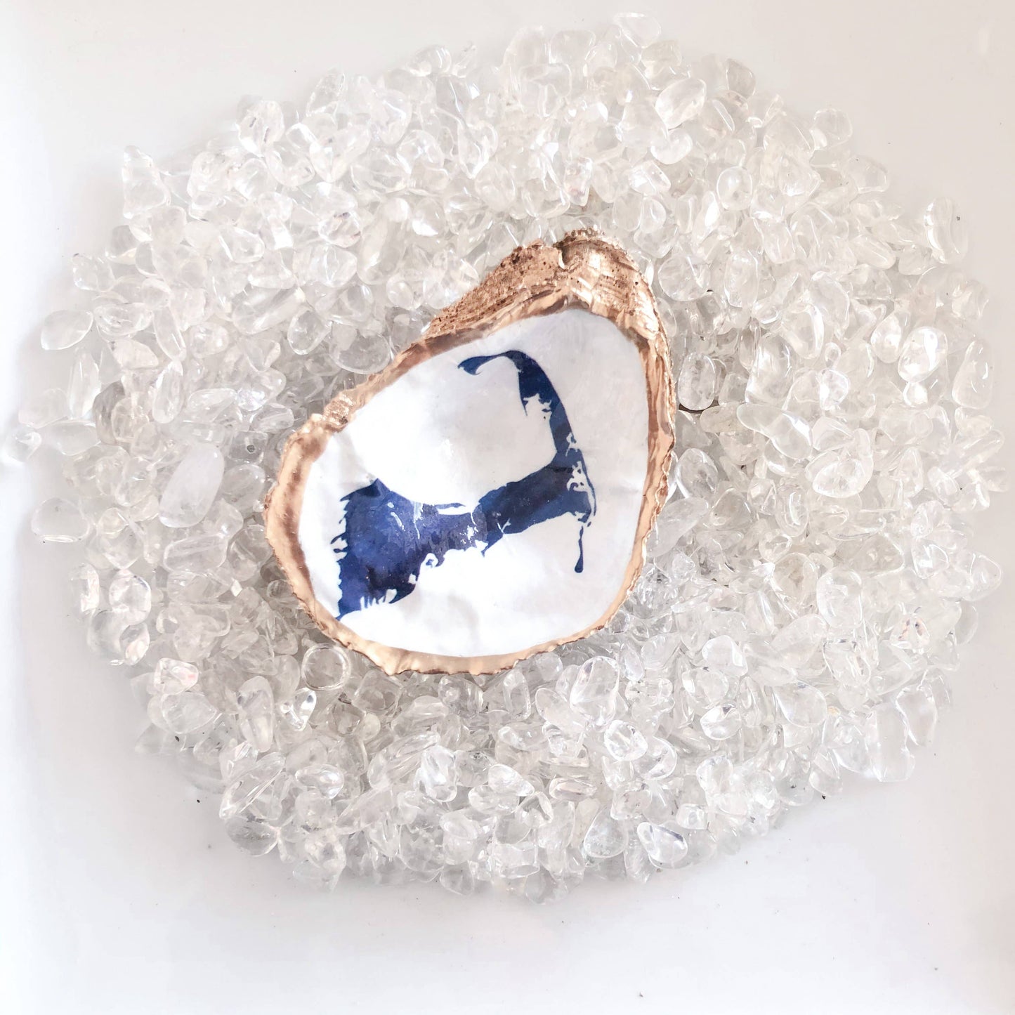 Cape Cod Map Oyster Shell Trinket Dish