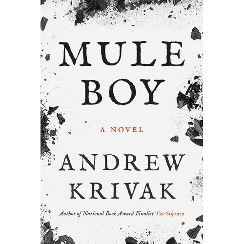 Mule Boy