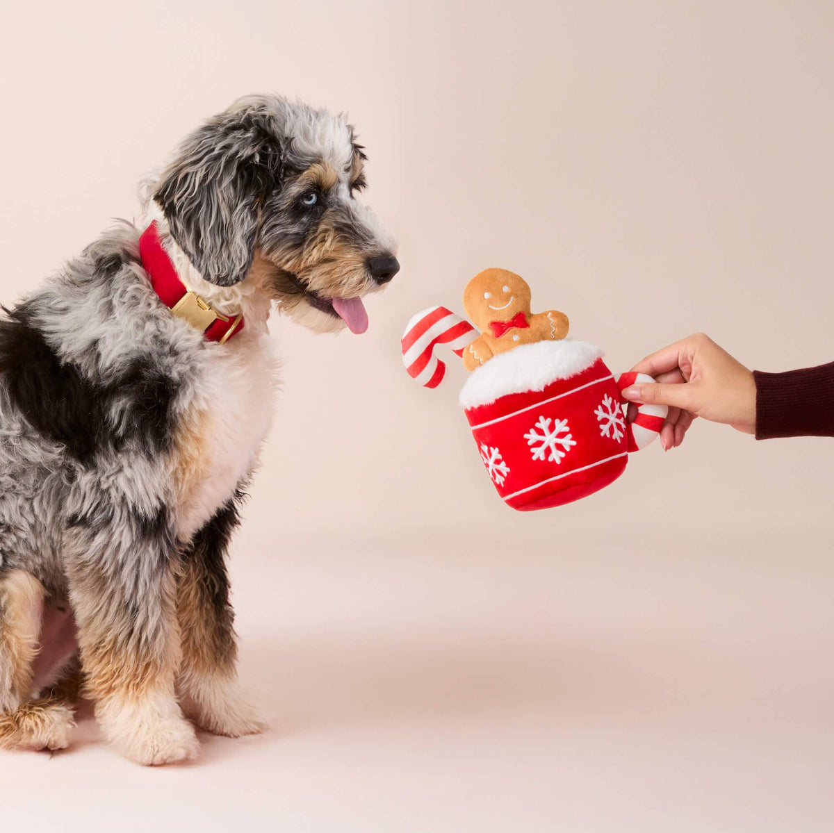 Holiday Hot Cocoa Interactive Snuffle Dog Toy