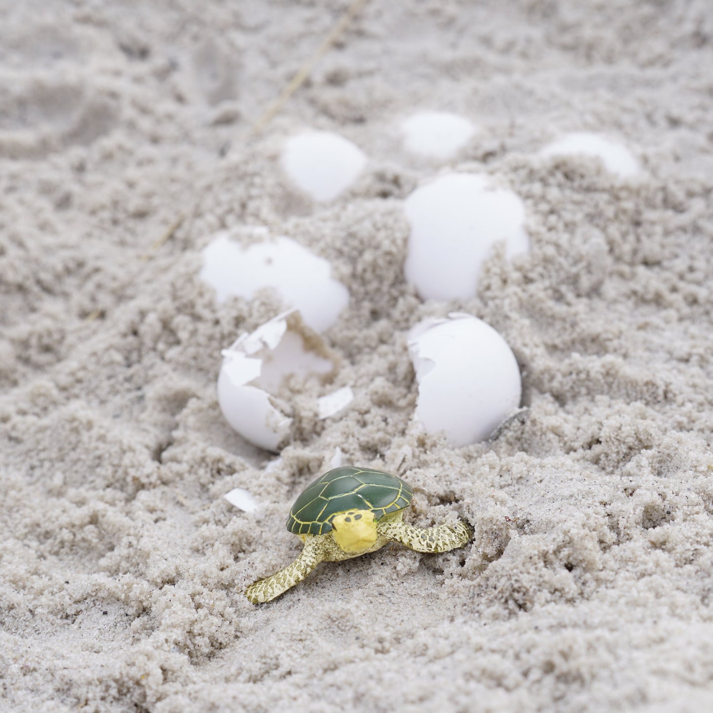 Wild Safari Sea Life Baby Green Sea Turtle figurine - view 7