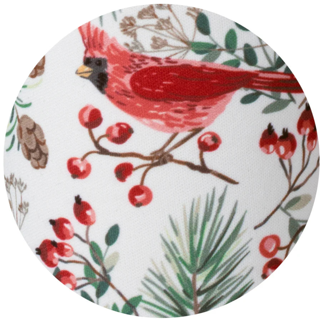 Winter Cardinals