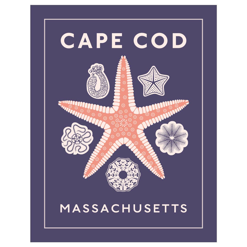 2.5'' x 3.5'' Cape Cod Starfish Magnet