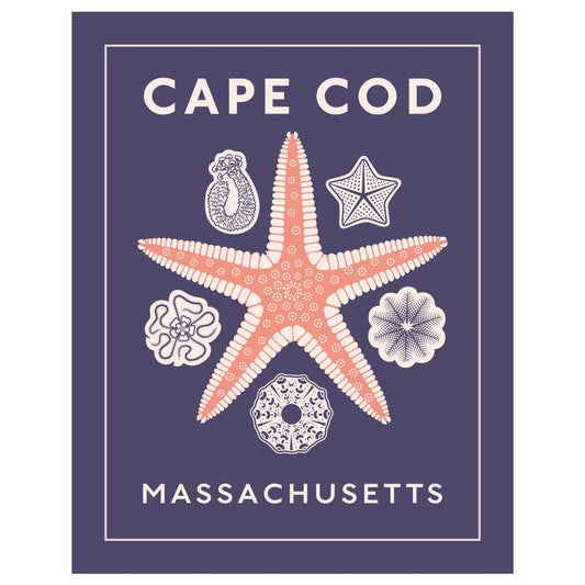 2.5'' x 3.5'' Cape Cod Starfish Magnet
