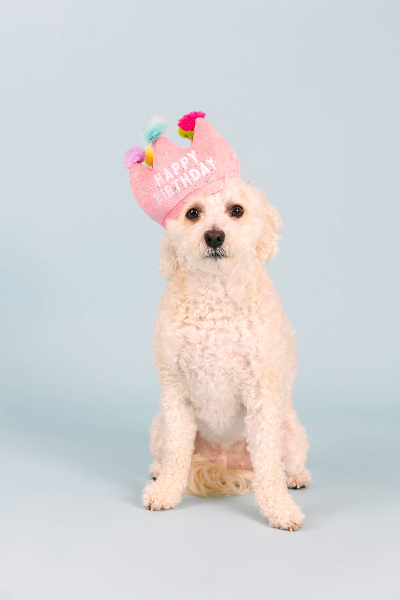 IF THE CROWN FITS