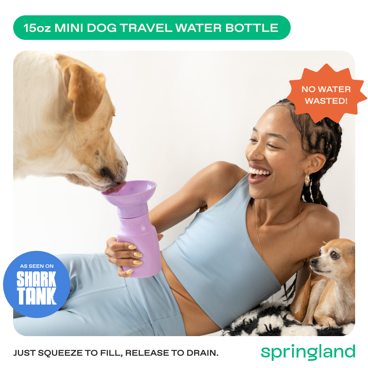15oz Original Springer Dog Travel Water Bottle