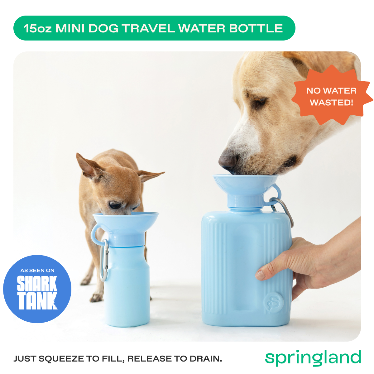 15oz Original Springer Dog Travel Water Bottle