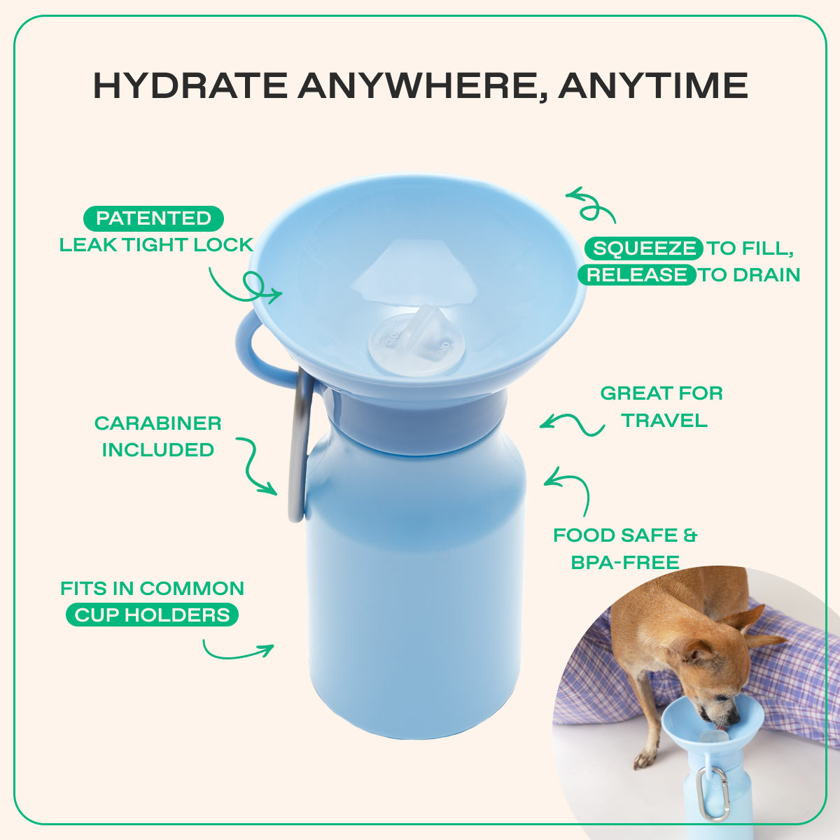 15oz Original Springer Dog Travel Water Bottle
