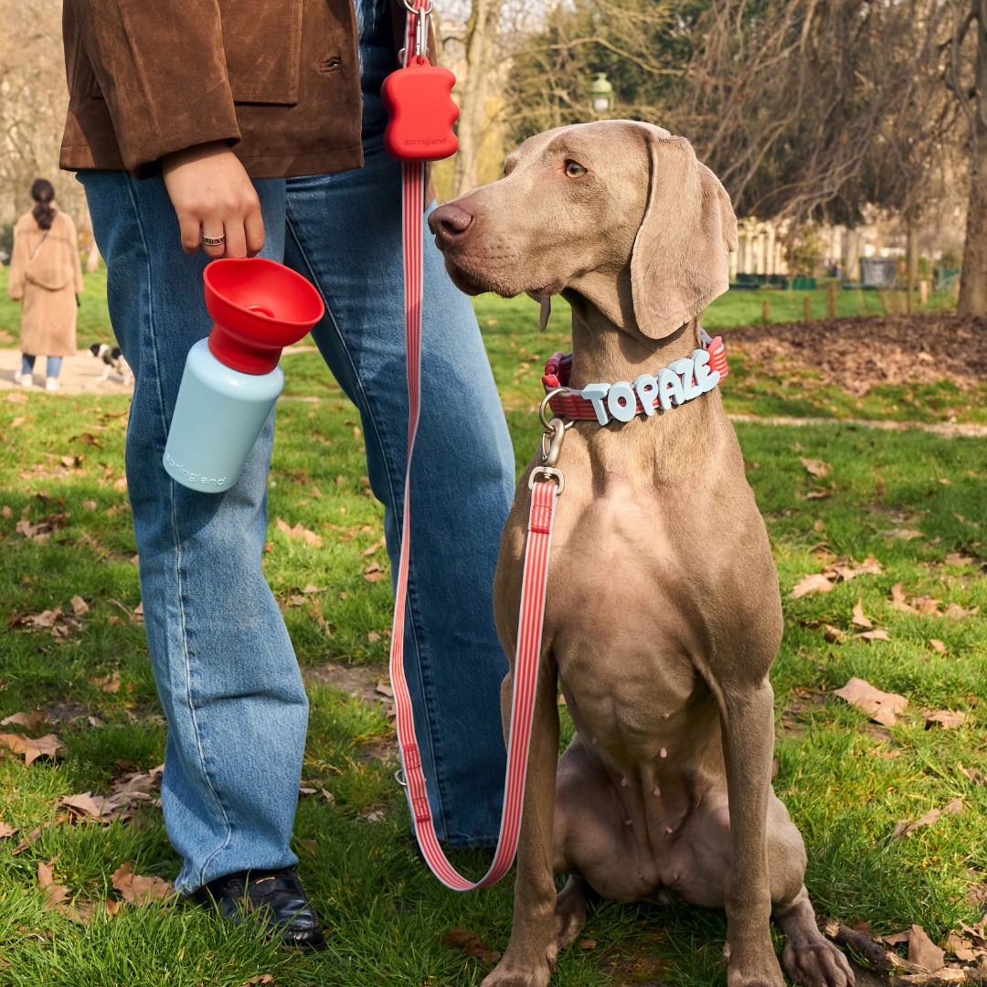 20oz Flip Springer Dog Travel Water Bottle