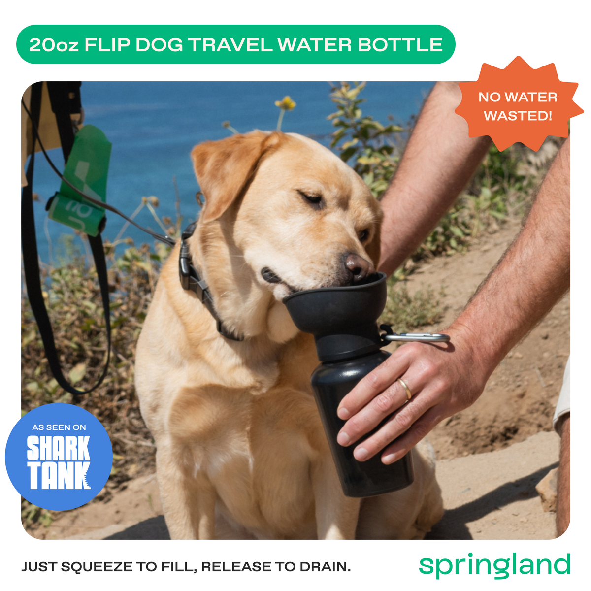 20oz Flip Springer Dog Travel Water Bottle