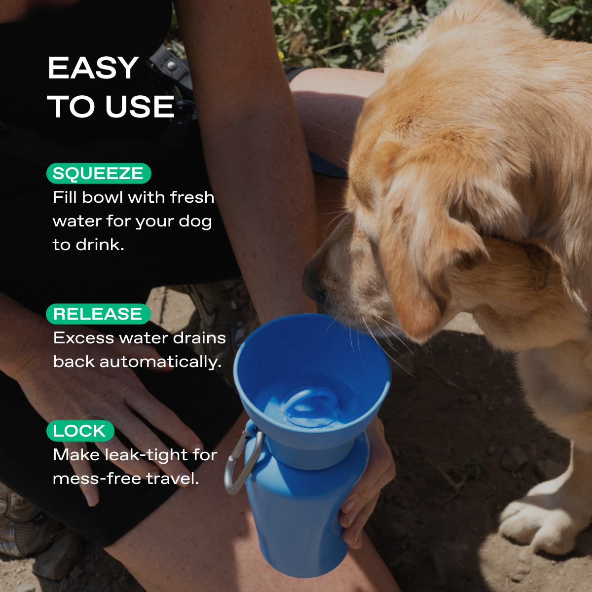 20oz Flip Springer Dog Travel Water Bottle