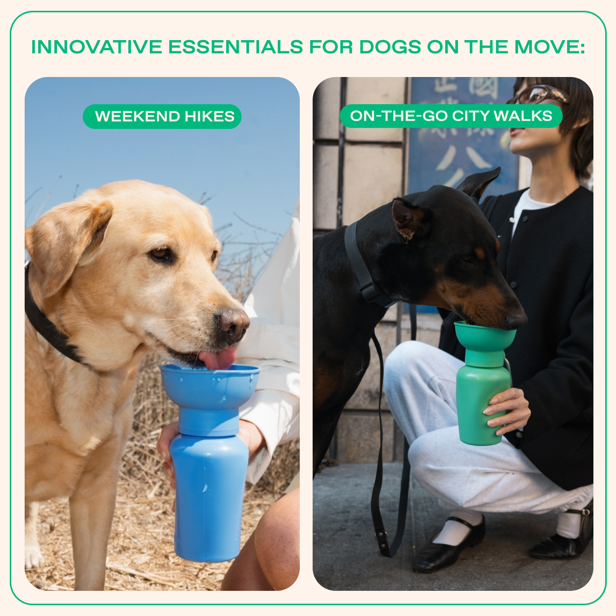 20oz Flip Springer Dog Travel Water Bottle