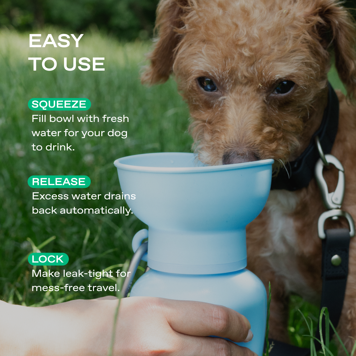 20oz Flip Springer Dog Travel Water Bottle