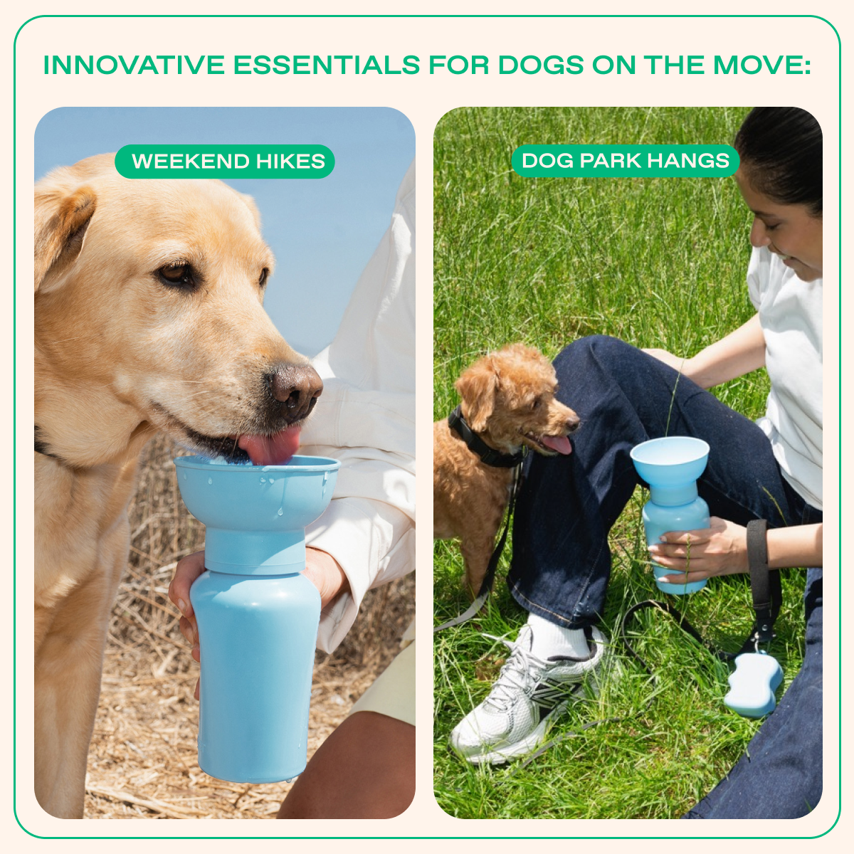 20oz Flip Springer Dog Travel Water Bottle