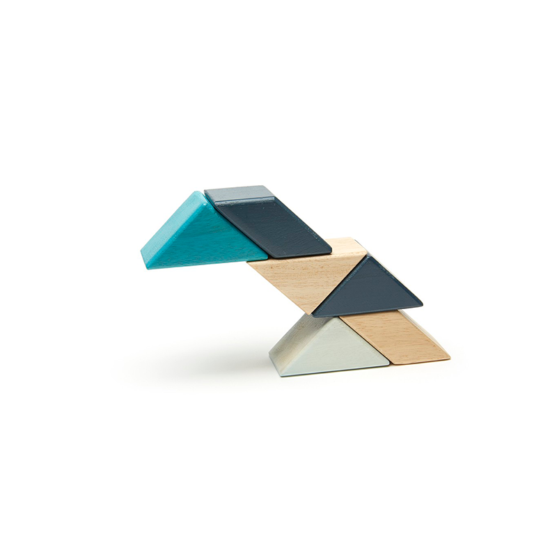 Pocket Pouch Prism Magnetic Wooden Blocks 6 pieces