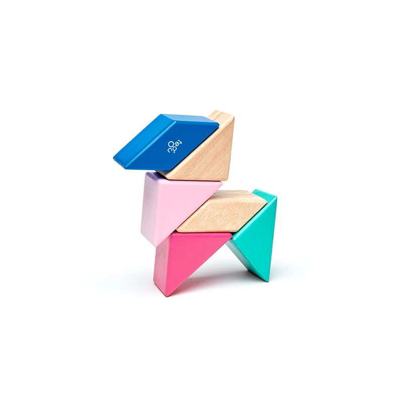 Pocket Pouch Prism Magnetic Wooden Blocks 6 pieces