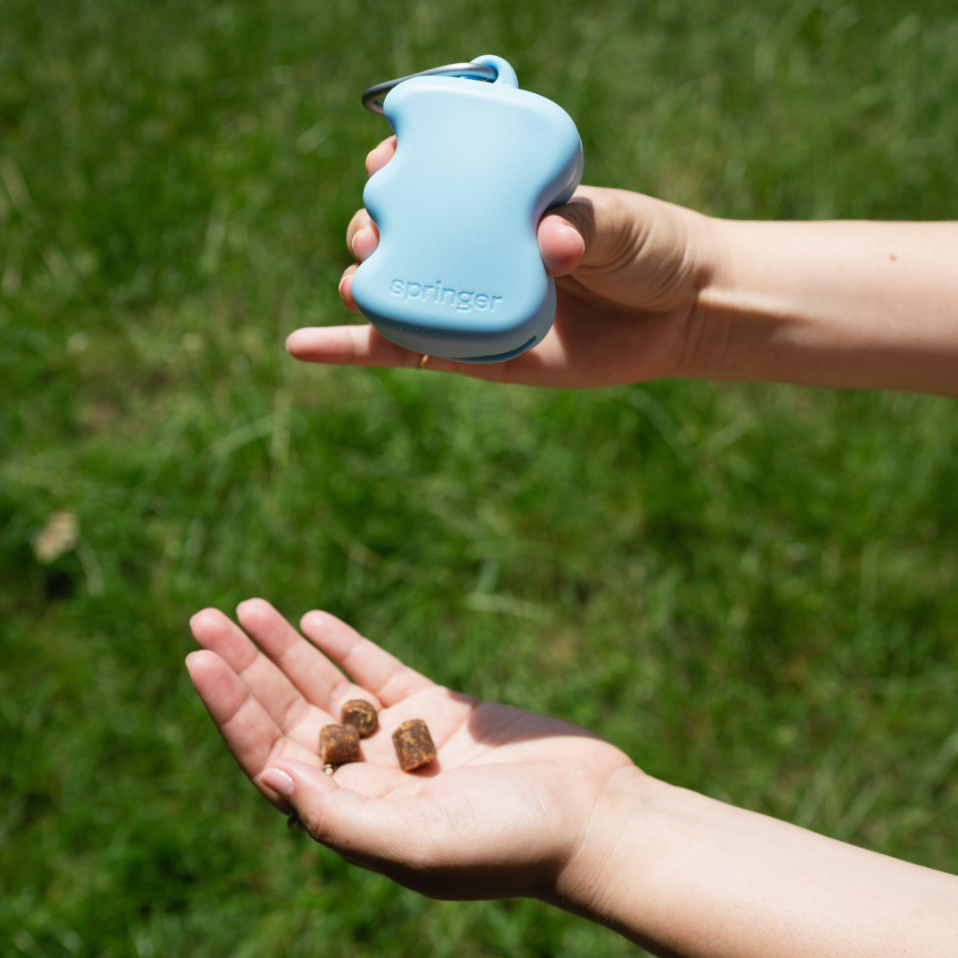The Silicone Dog Treat Dispenser