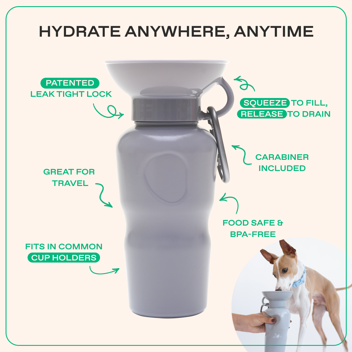 22oz Original Springer Dog Travel Water Bottle
