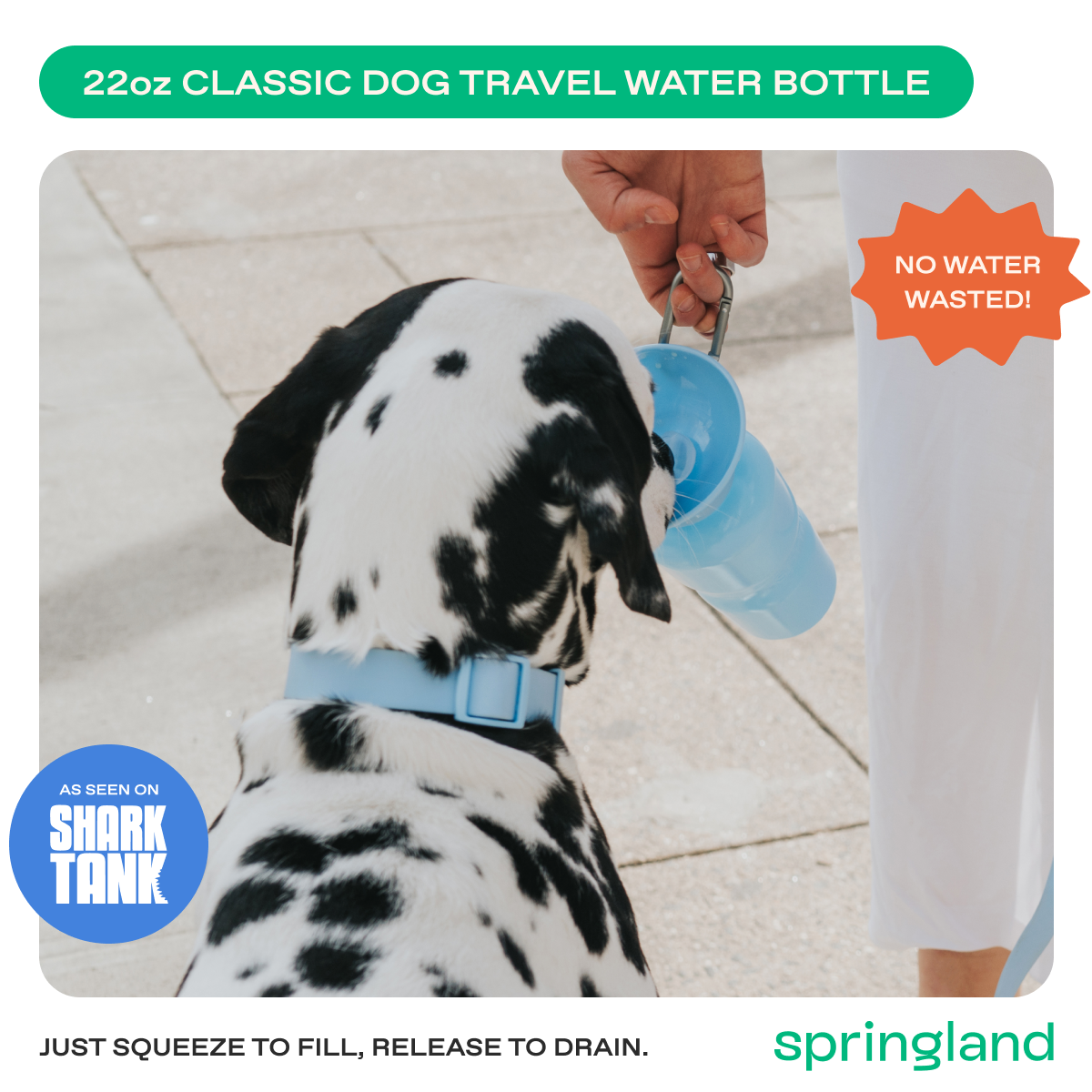 22oz Original Springer Dog Travel Water Bottle