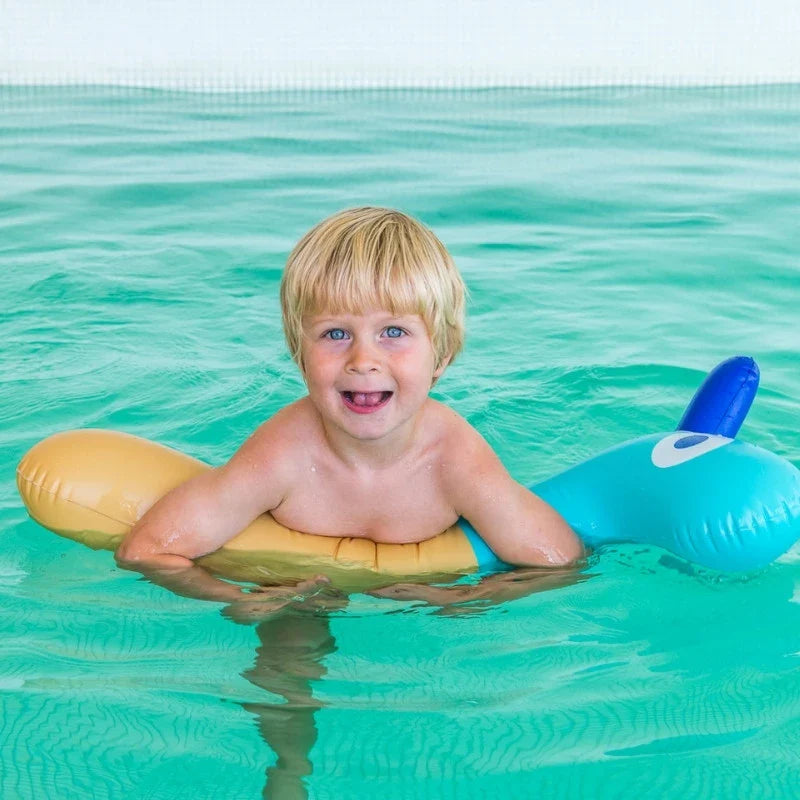 Noodle Giraffe – Inflatable Hobby Horse