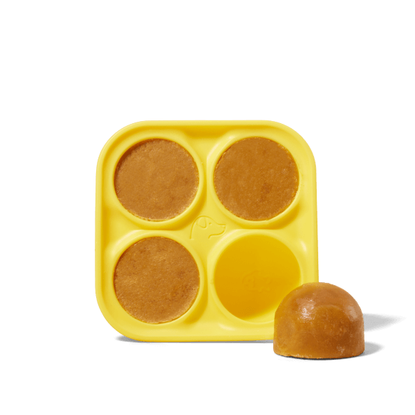 Pupsicle Treat Tray: Extra Large