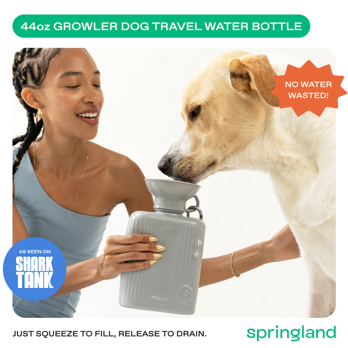 44oz Original Springer Dog Travel Water Bottle