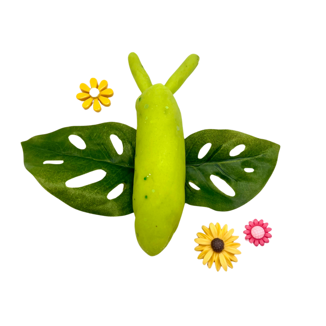Butterfly & Bug Playdough Sensory Kit