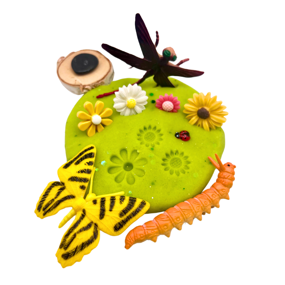 Butterfly & Bug Playdough Sensory Kit