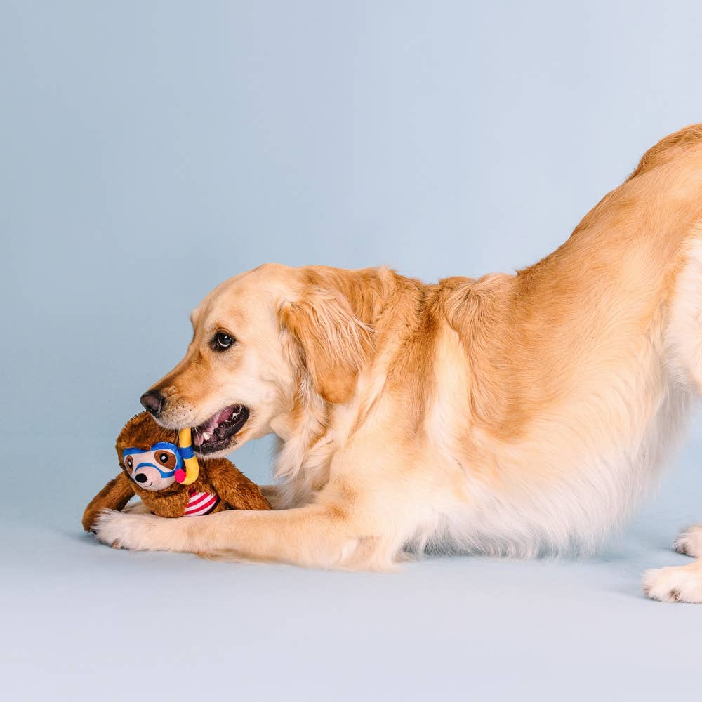 SWIMIN WITH THE FISHE PLUSH DOG TOY