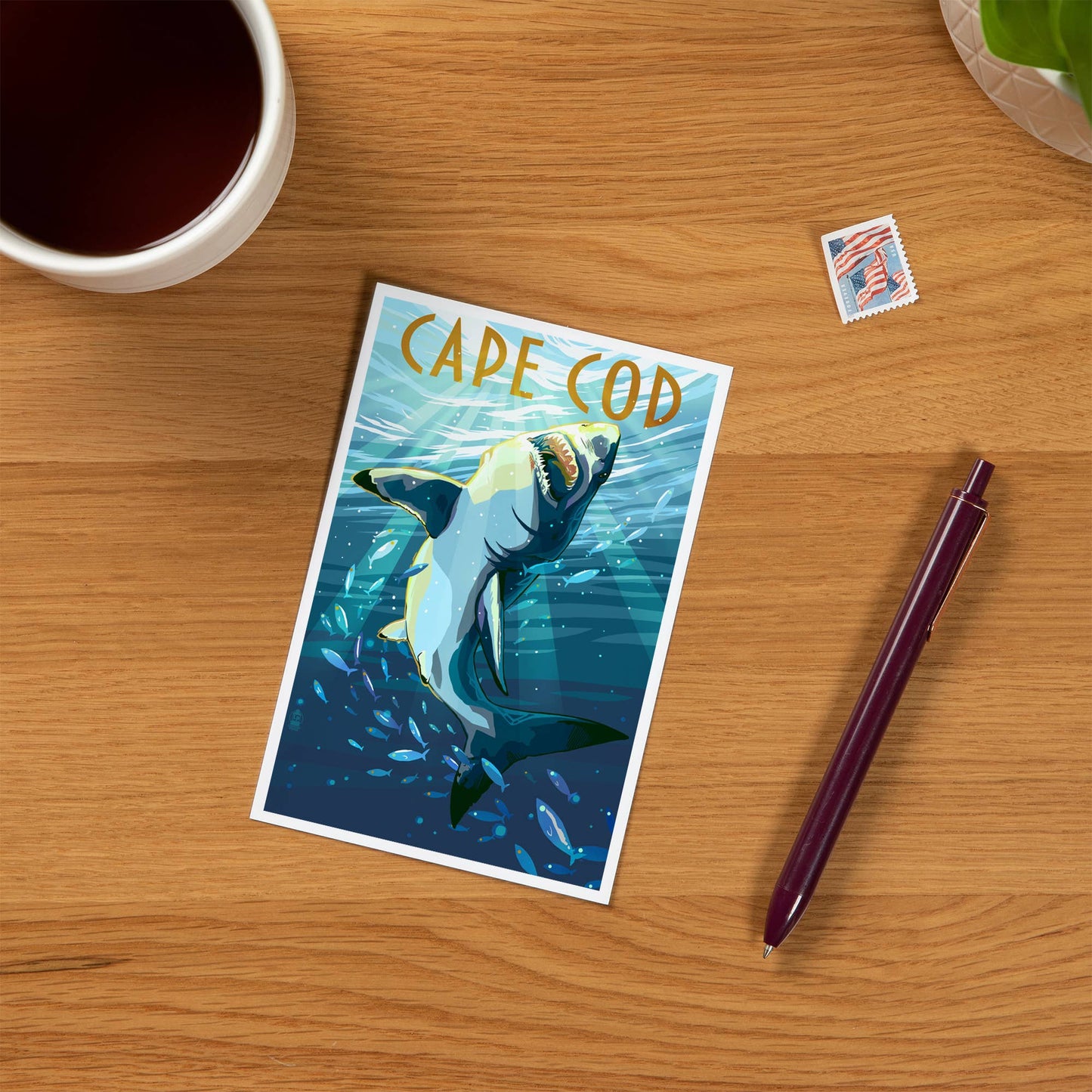 PREMIUM POSTCARDS Cape Cod, Massachusetts, Stylized Shark