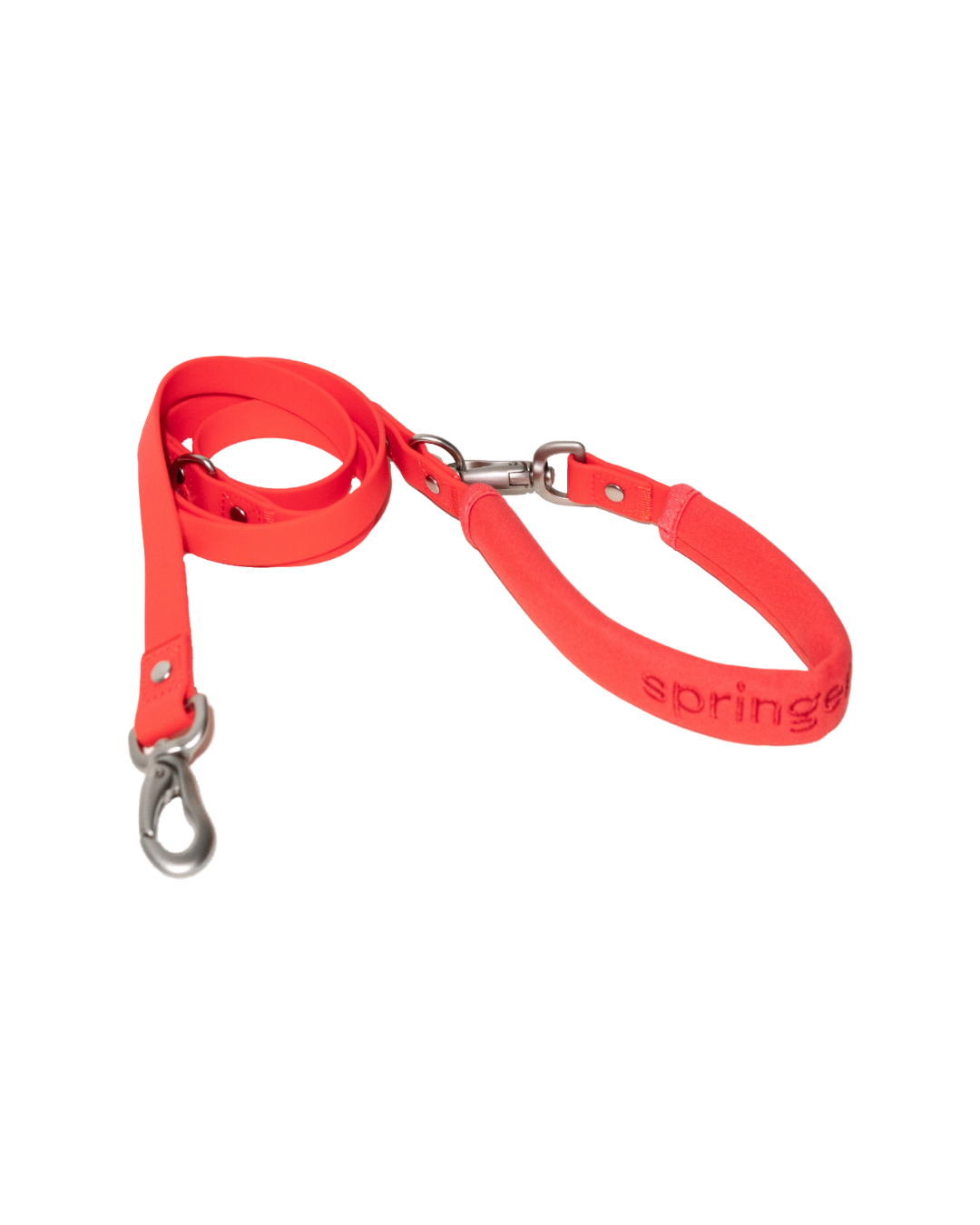 The Dog Leash