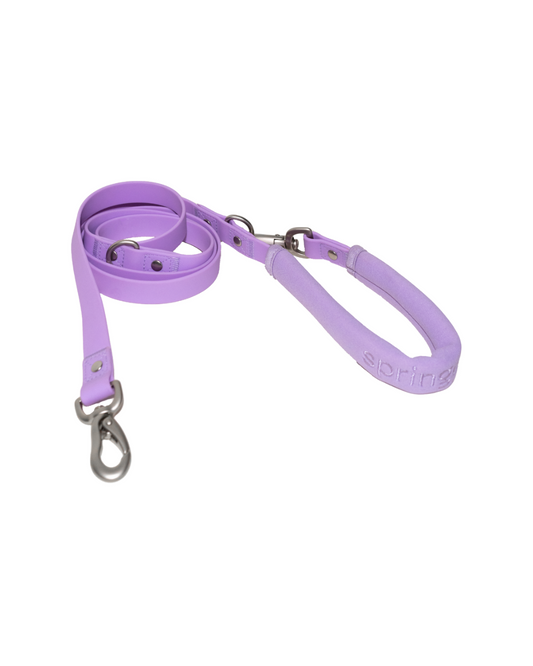 The Dog Leash