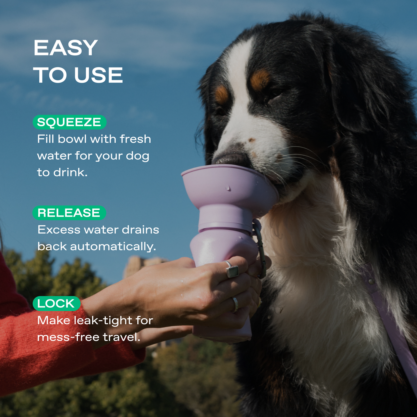 20oz Flip Springer Dog Travel Water Bottle