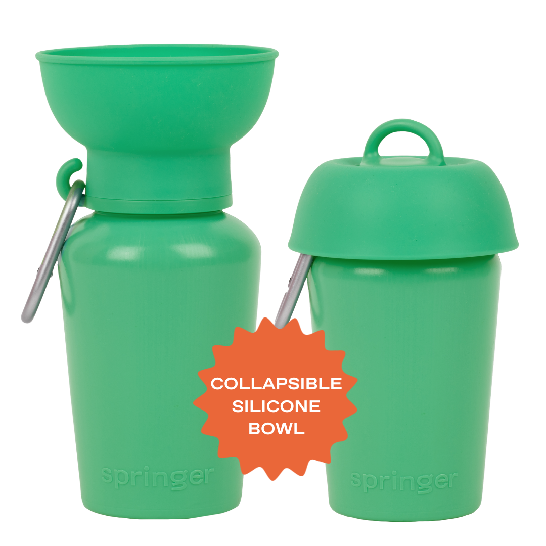 20oz Flip Springer Dog Travel Water Bottle