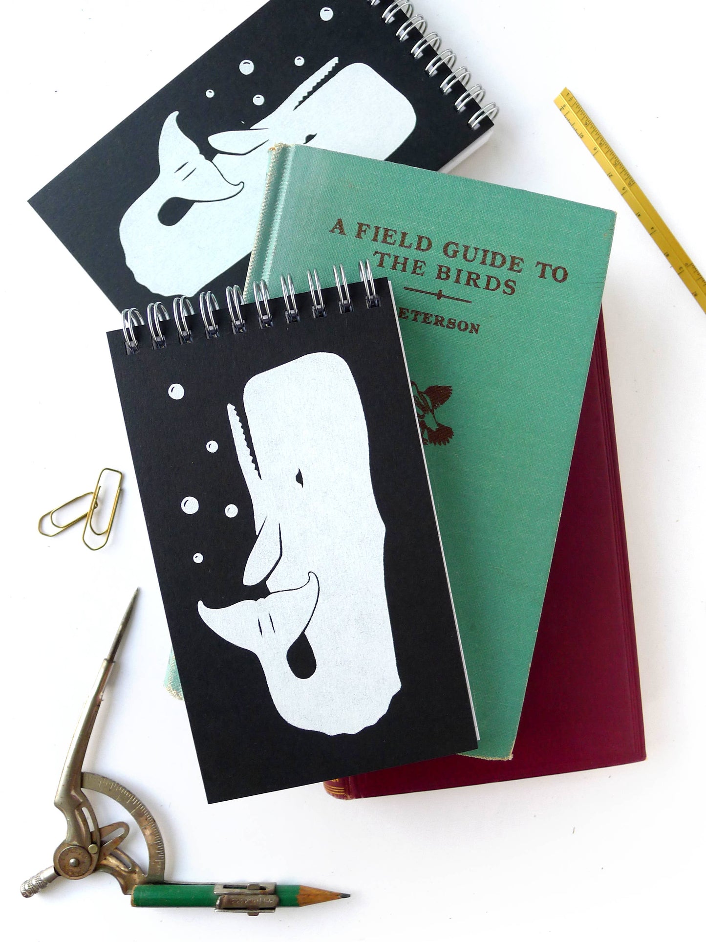 Whale Notepad: Blank