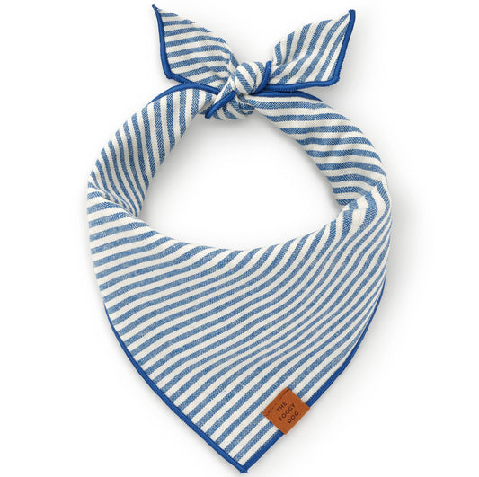 Lake Blue Stripe Spring Dog Bandana Small