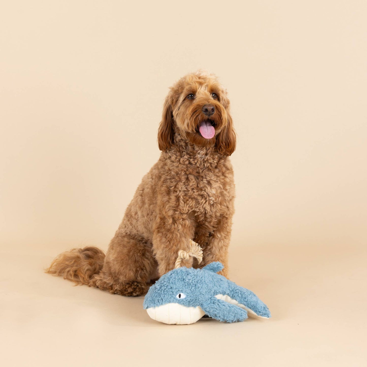 OH WHALE EARTH FRIENDLY DOG TOY