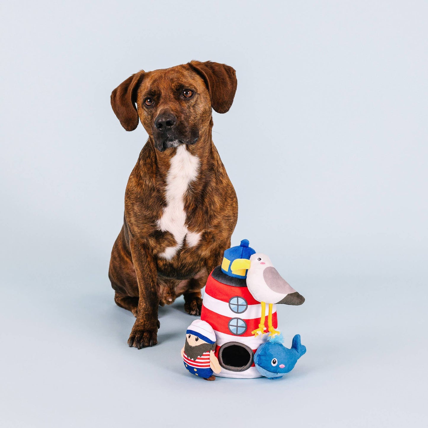 SHIPS AHOY HIDE & SEEK DOG TOY