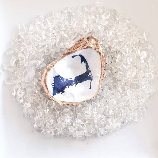 Cape Cod Map Oyster Shell Trinket Dish