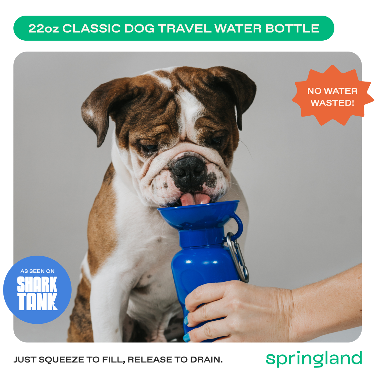 22oz Original Springer Dog Travel Water Bottle