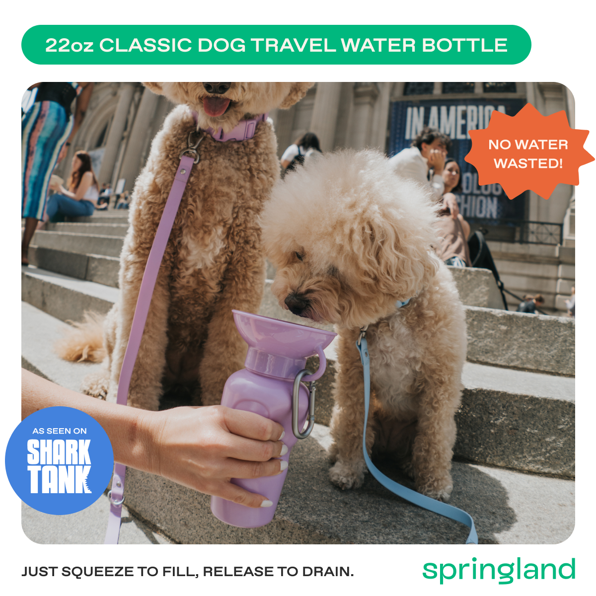 22oz Original Springer Dog Travel Water Bottle