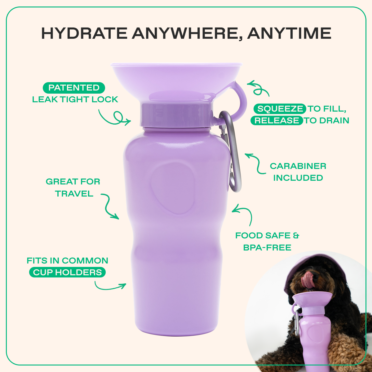22oz Original Springer Dog Travel Water Bottle