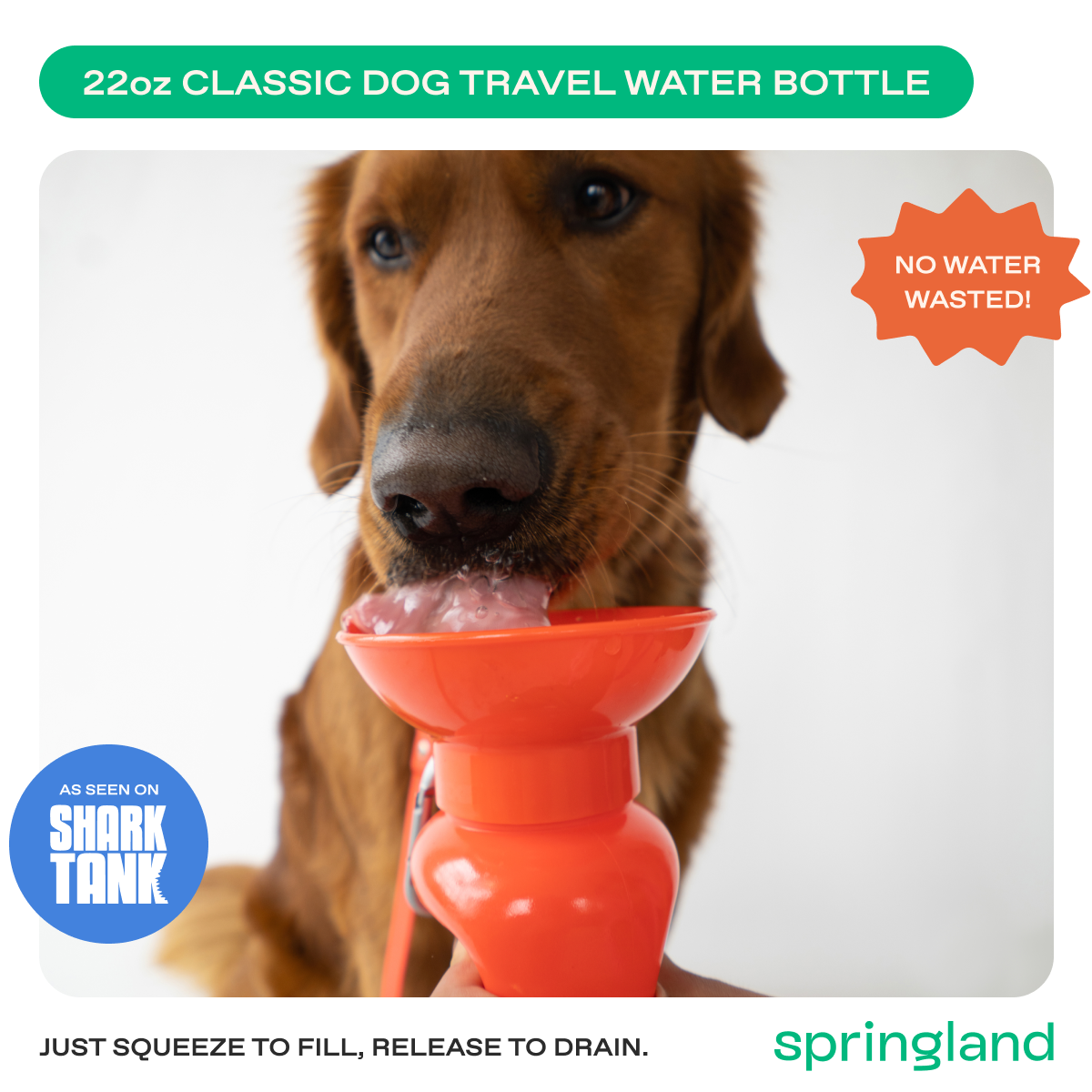 22oz Original Springer Dog Travel Water Bottle