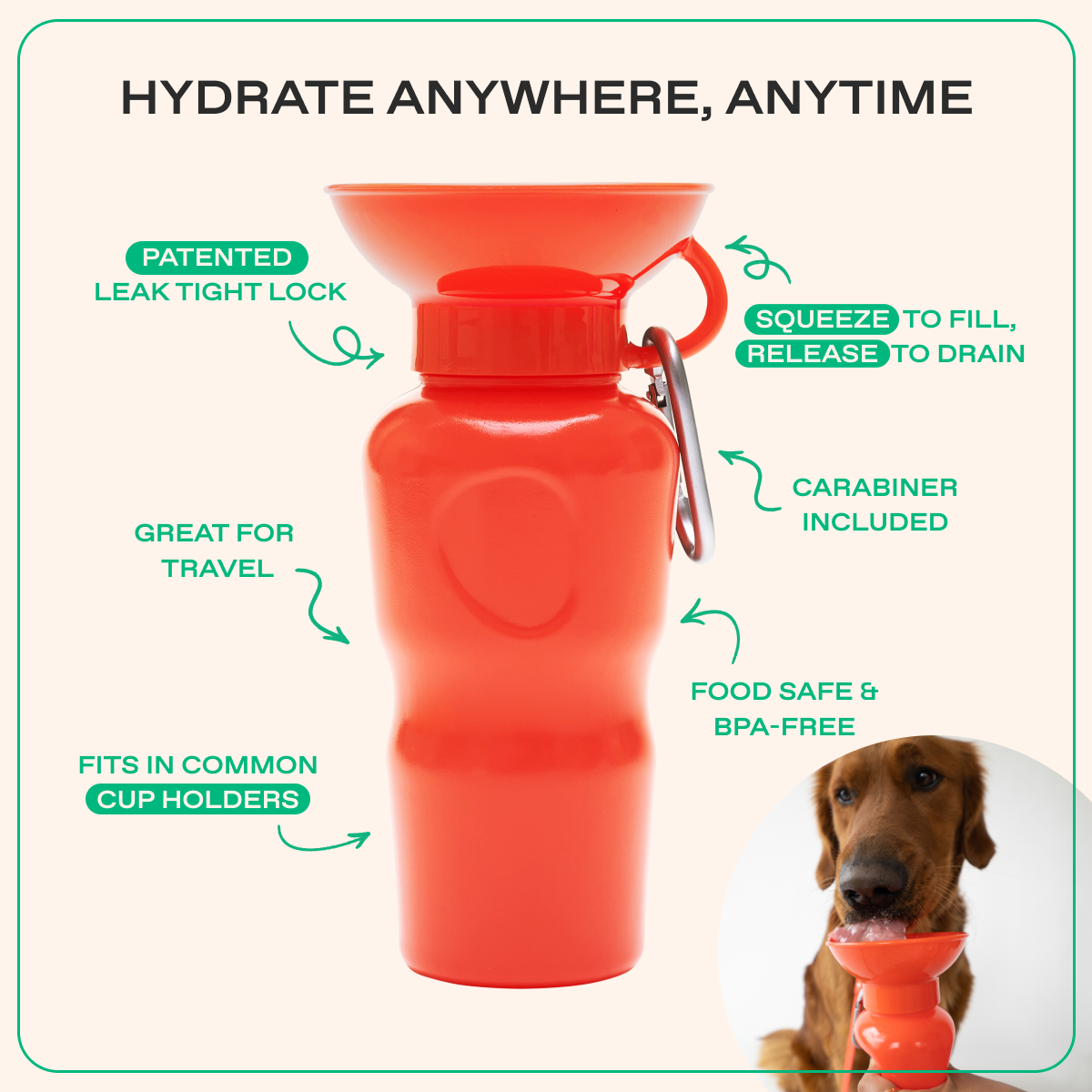 22oz Original Springer Dog Travel Water Bottle